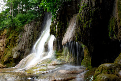 Scenic view of waterfall in forest