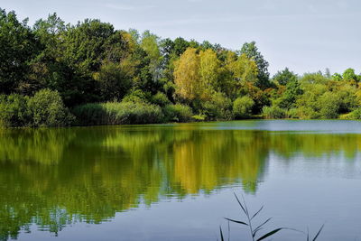 Scenic view of lake by trees against sky