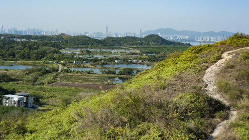 Scenic view of field against clear sky