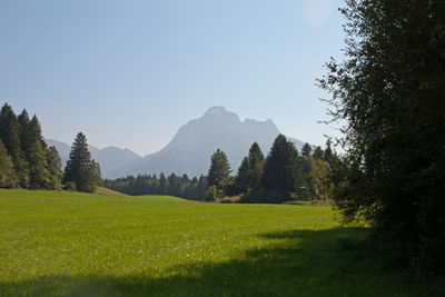 Scenic view of field against clear sky