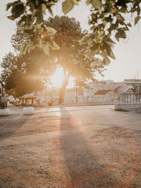 Street amidst trees and buildings in city