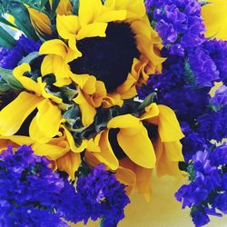 Close-up of yellow flowers blooming outdoors