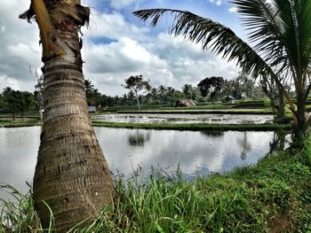 Scenic view of lake against sky