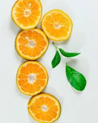 Directly above shot of orange slices over white background