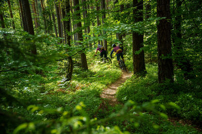 A young woman and a young man riding their mountain bikes on a singletrail near klagenfurt, austria.