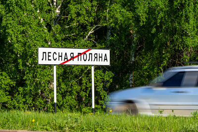 Information sign on road by trees