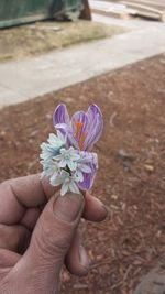 Close-up of hand holding flower