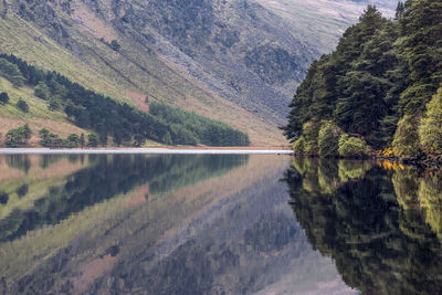 Scenic view of lake in summer