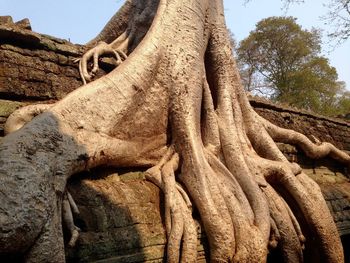 Low angle view of statue