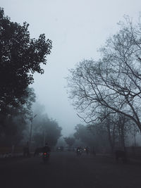 View of silhouette trees on landscape against sky