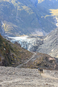 Scenic view of landscape