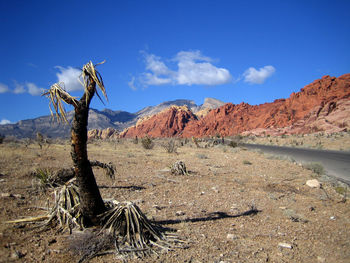 Scenic view of landscape and mountains against blue sky