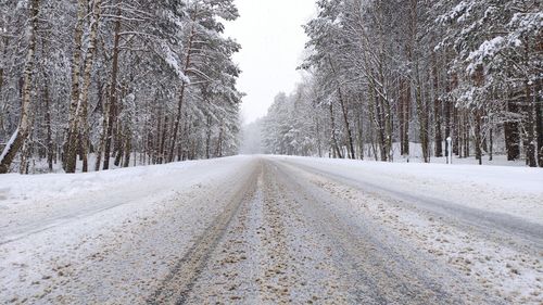 Road amidst snow covered trees during winter