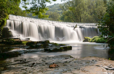 Scenic view of waterfall against trees in forest