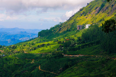 Beauty of munnar , kerala, india. the mesmerizing south indian greenery mountains. god's own country