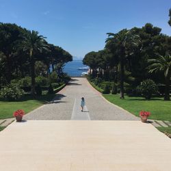 Rear view of woman walking on retaining wall by sea against clear sky