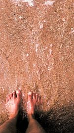 Low section of woman standing on beach