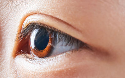 Close-up of girl eye