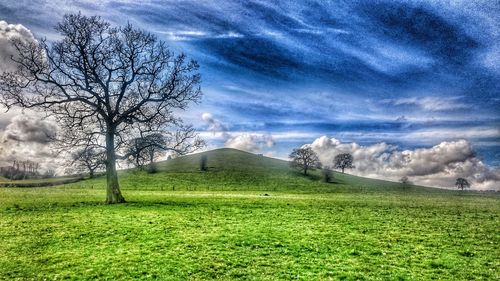 Scenic view of grassy field against cloudy sky