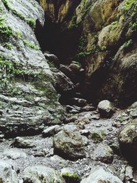 Scenic view of waterfall