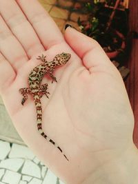 Close-up of cropped hand