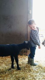 Side view of girl playing with dog
