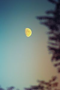 Low angle view of moon against sky at night