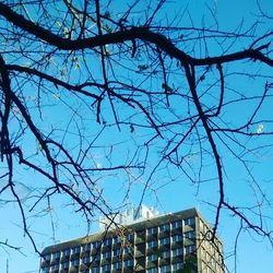 Low angle view of building against sky