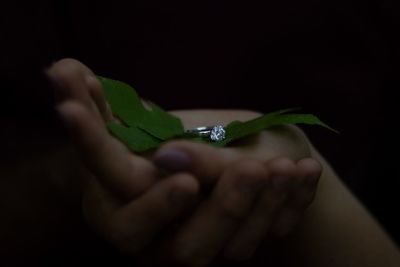 Close-up of hand holding leaf over black background