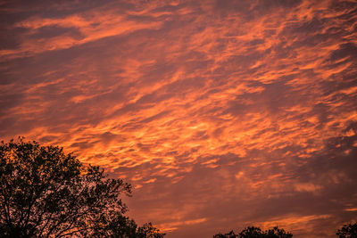 Low angle view of silhouette trees against dramatic sky