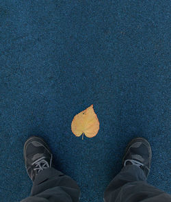 Low section of man standing on autumn leaves