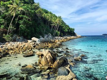 Scenic view of sea against sky