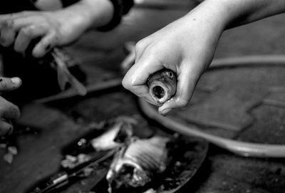 Cropped hand holding fish food