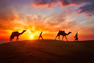 Silhouette men with camels walking at desert against orange sky