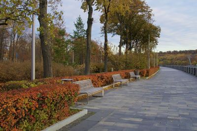 Footpath amidst trees in park during autumn