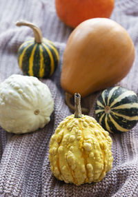 A rustic autumn still life with pumpkins on knitted textile background