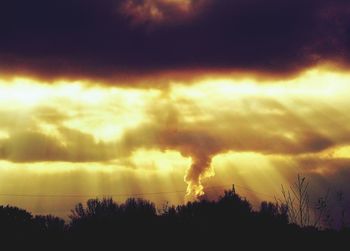 Silhouette trees against sky at night
