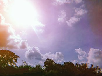 Low angle view of trees against sky