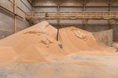 Pile of wheat bran, raw material storage, storage of raw materials. animal feed industry