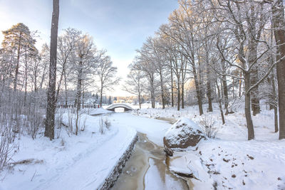snow
