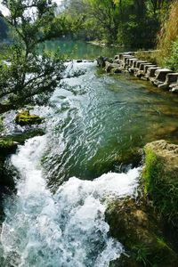 River flowing through forest