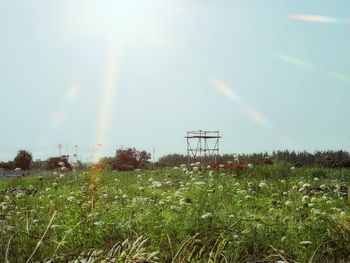 Scenic view of field against rainbow in sky