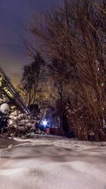 Road along trees at night