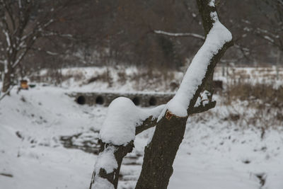 Close-up of frozen ice