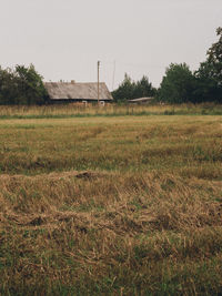 Scenic view of field against clear sky