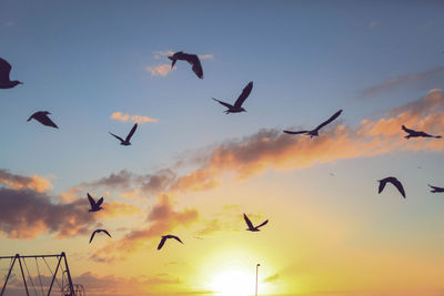 Low angle view of silhouette birds flying against sky