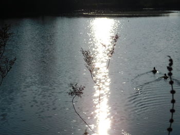 High angle view of a lake