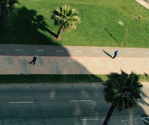 High angle view of man walking on road