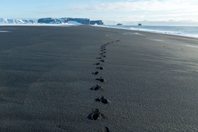 High angle view of footprints on beach