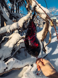 A glass with red wine and beautiful splashes on the background of a snow-covered vine in a vineyard